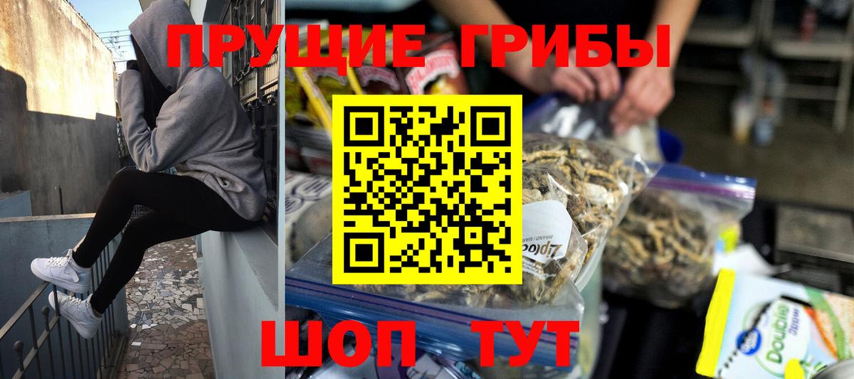 Псилоцибиновые грибы Psilocybe Ишим